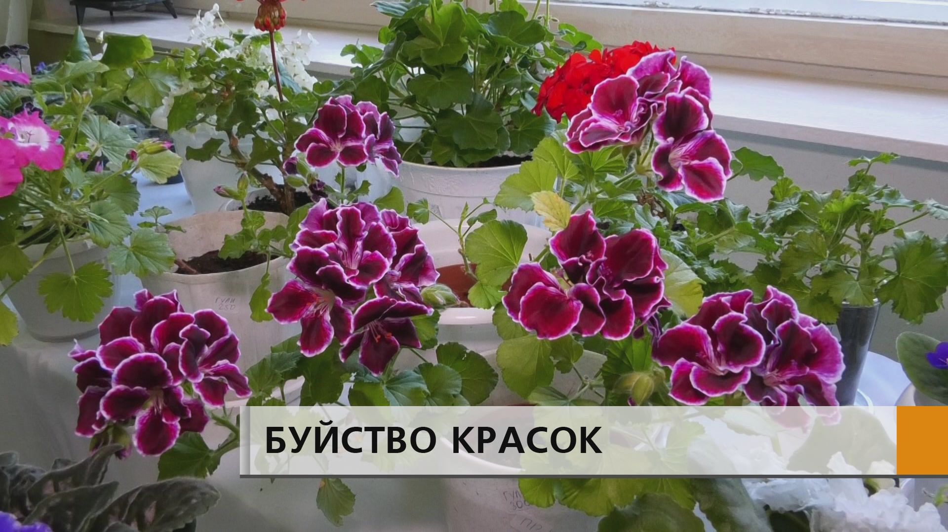 «Счастье — это быть с природой, видеть её, говорить с ней», — так писал Лев Николаевич Толстой