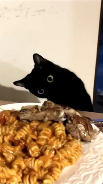 Заставка для видео  ЧЕРНЫЙ КОТ ЖЕЛАЕТ ПОЕСТЬ № 531