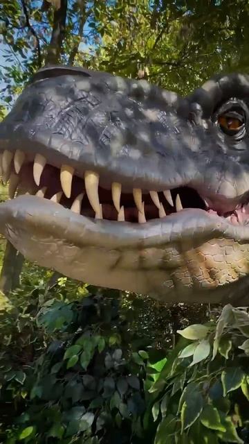 VID_20260416_140145_497.mp4