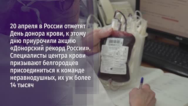Акция ко Дню донора в Белгороде
