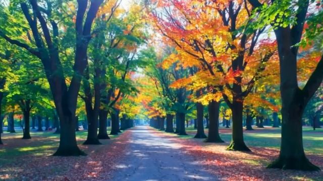 Созерцатель