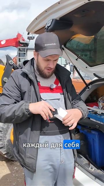 Умка или Вега что выбрать