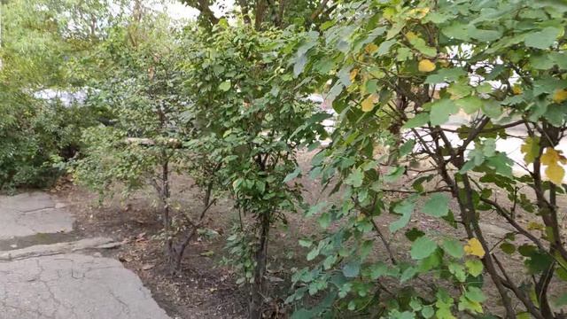 Один из дней города Евпатории | 23 сентября 2021 г | Крым ХАН БАТОН XAH 6ATOH | VID_20210923_144738