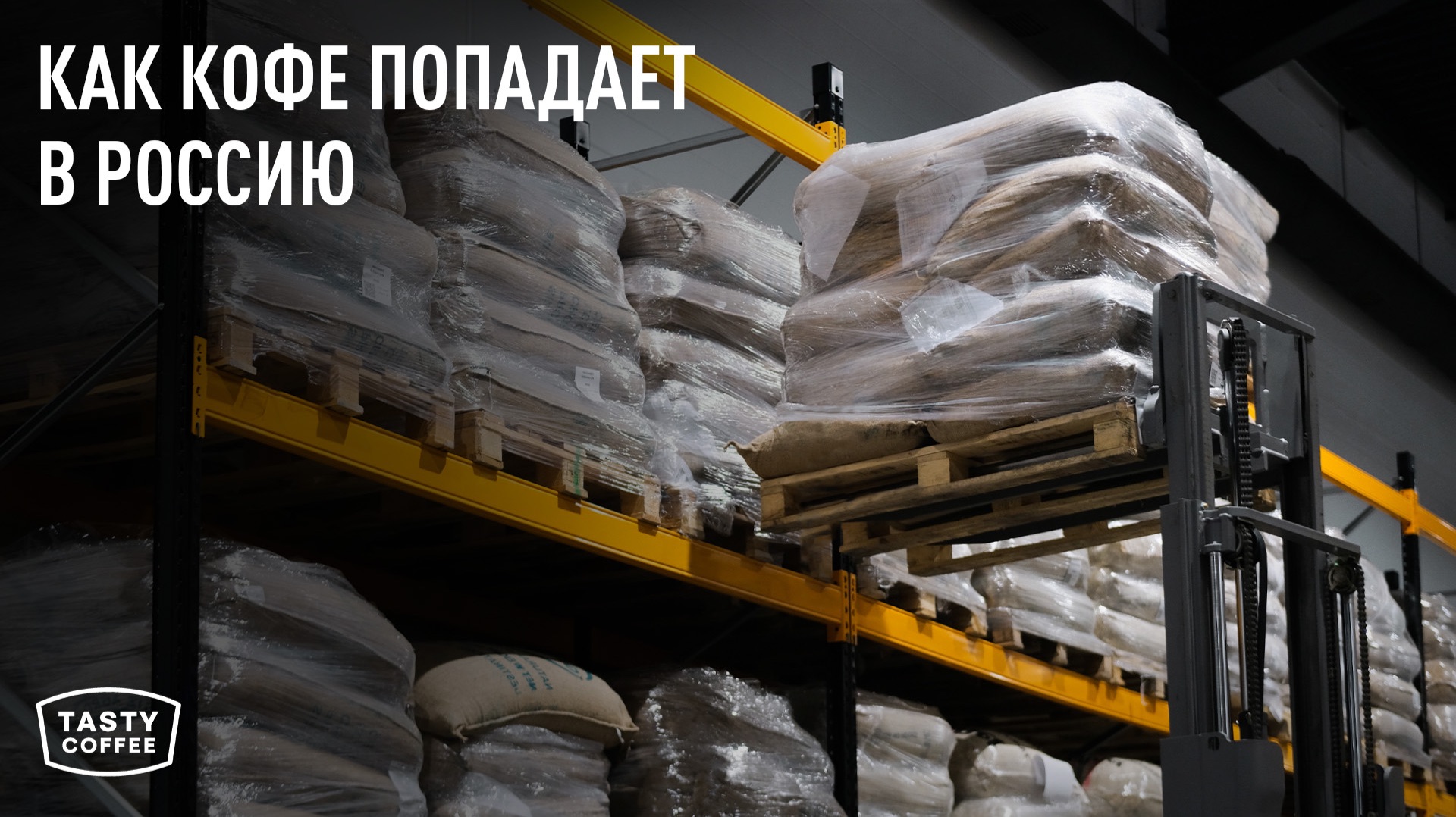 Как кофе едет в Россию и причём здесь пираты? Все секреты логистики зерна от Tasty Coffee