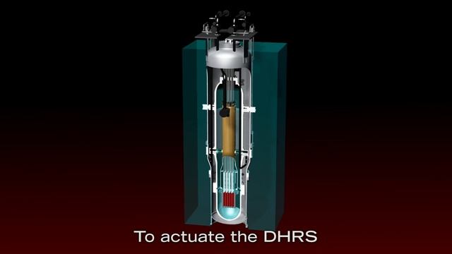 Decay Heat Removal System ядерный реактор NuScale™ (NPM)