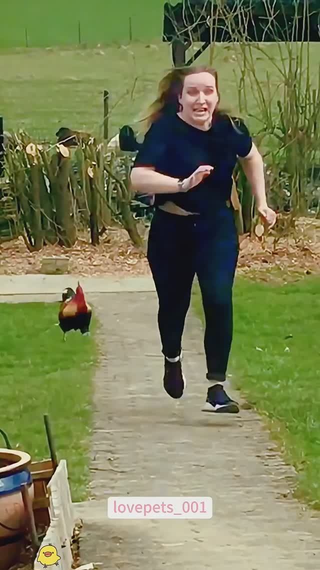 Приколы с животными😂😂Ржака!! смех до слез😂