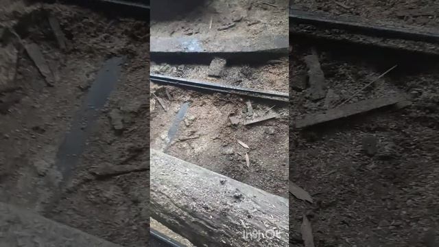 Подготовка бруса и досок , для дачи!