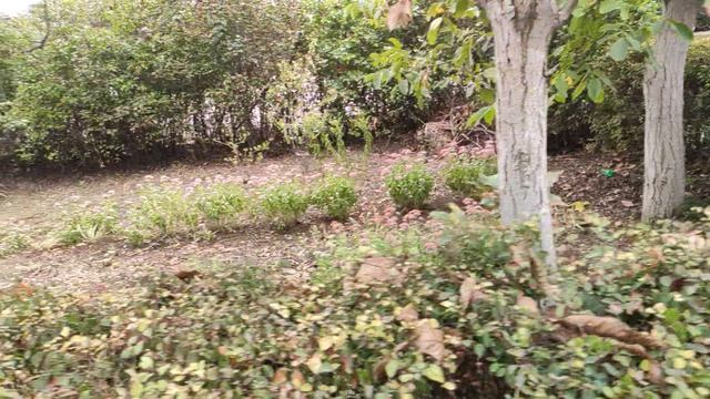 Один из дней города Евпатории | 21 сентября 2021 г | Крым ХАН БАТОН XAH 6ATOH | VID_20210921_143211