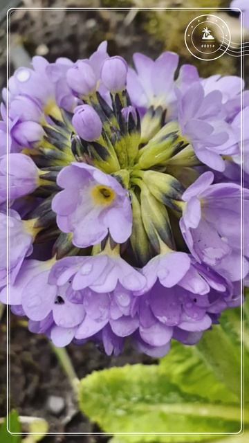 Мой новый фильм 