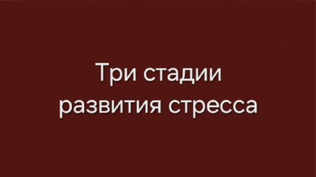 Три стадии развития стресса