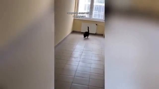 Хорошая скорость