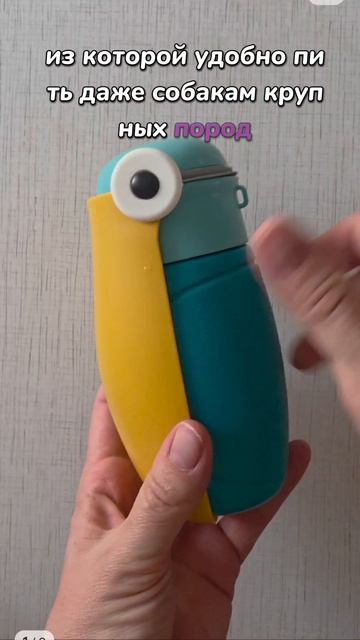 находка для собак😍