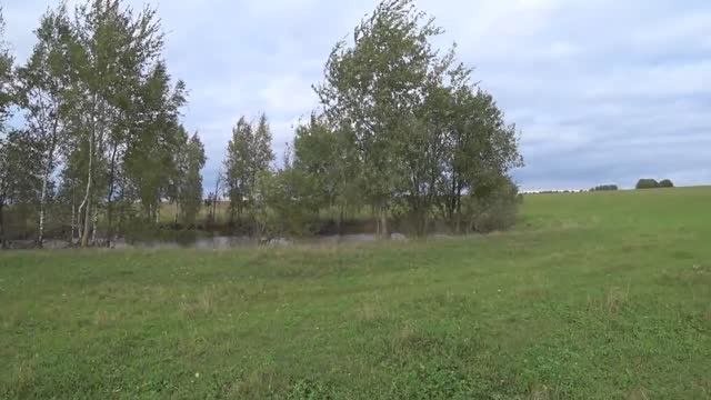 ОХОТА НА УТКУ, БАТЯ БЕЙ