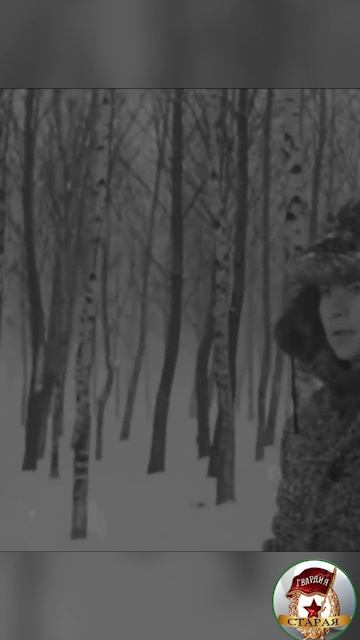 Зимний вечер...