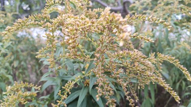 Один из дней города Евпатории | 22 сентября 2021 г | Крым ХАН БАТОН XAH 6ATOH | VID_20210922_145725