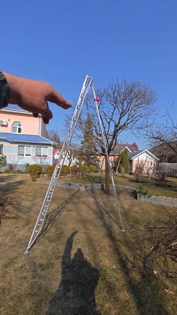 «Посвящается моему другу и его таланту. Восхищаюсь каждой твоей работой. Ты — мой пример для подража