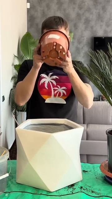 Кашпо и горшок- в чём разница?!