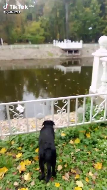 2c23e839-b256-4a4d-93da-8ba76606ea6a-watermark.mp4