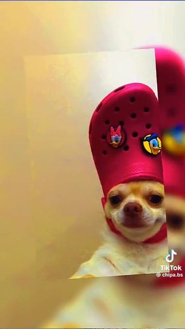 Крутые обои