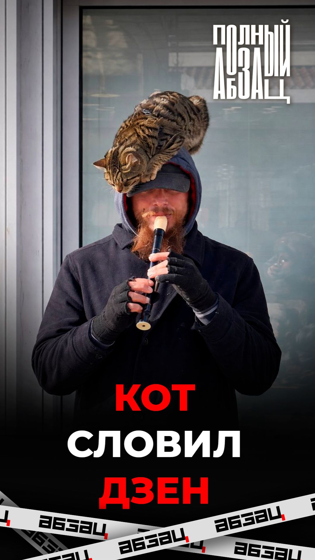 Теперь дзен ловят не только монахи, но и коты