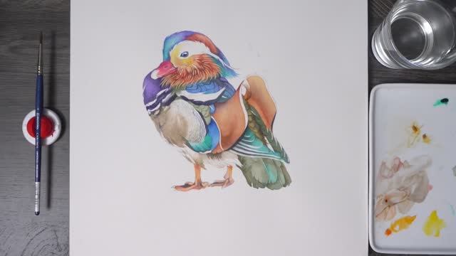 Утка-мандаринка. Мастер-класс по акварели и примеры рисования в негативной технике