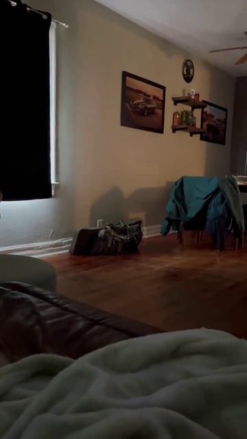 Забавное наблюдение коты буквально телепортируются, когда слышат автоматическую кормушку