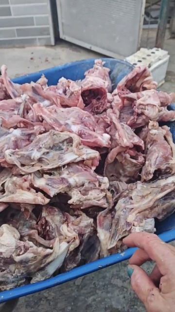 Собачий восторг от мясистого деликатеса