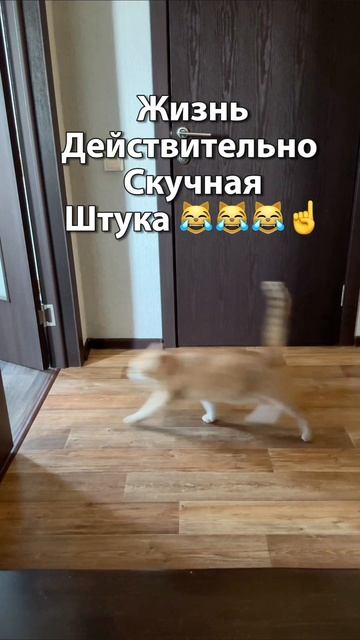 Живем✌️действуем ✌️
Некогда скучать ))