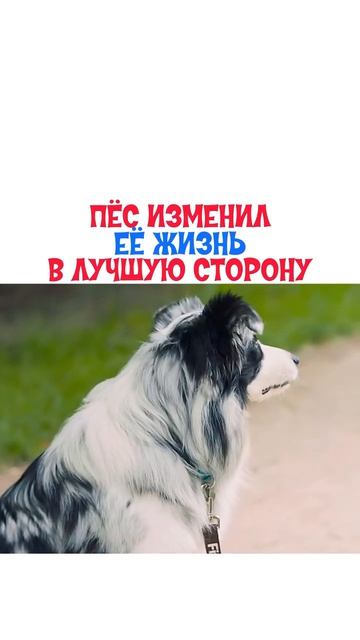 🍿Фильм «Знакомьтесь, пёс» (2024)

🎞️Смотрели фильм? #кино #film #video #rek #reels