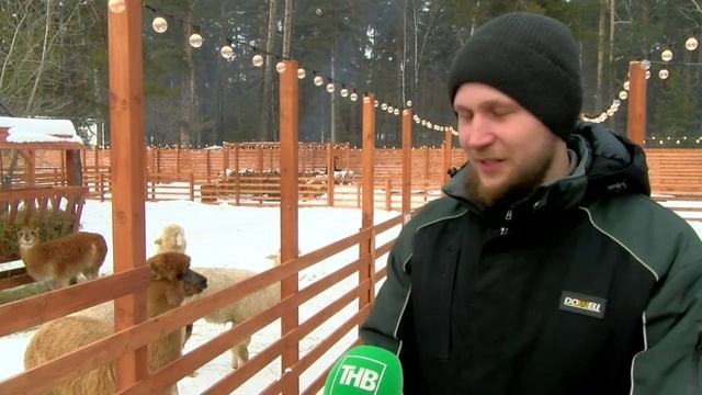 Здравствуйте ТНВ 8 04 для РУТУБ