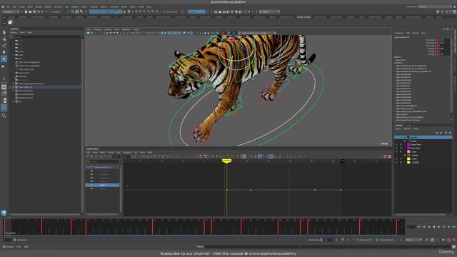 3. Blocking The Tiger Walk Cycle