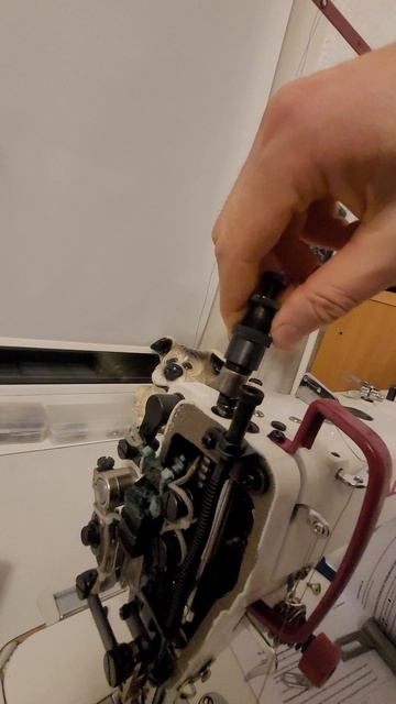 Аляскинский Маламут Юкас снова помогает