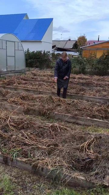 Главная ошибка