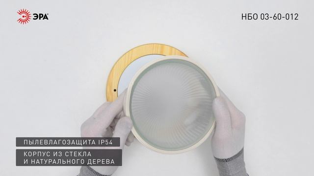 Светильник ЭРА НБО 03-60-012