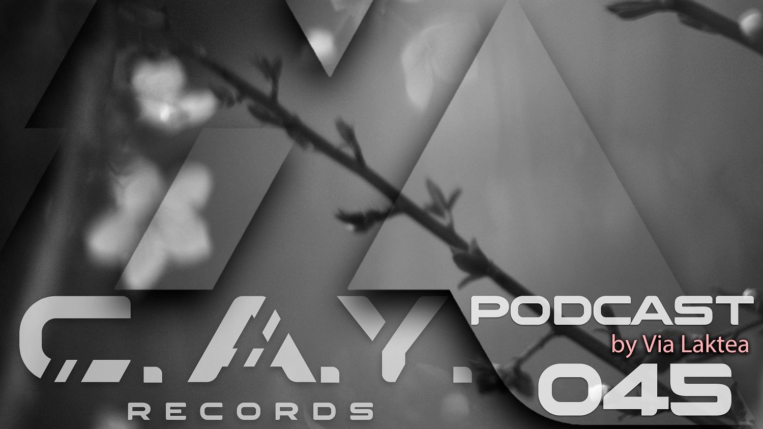 (045) C.A.Y. Records Podcast By Via Laktea