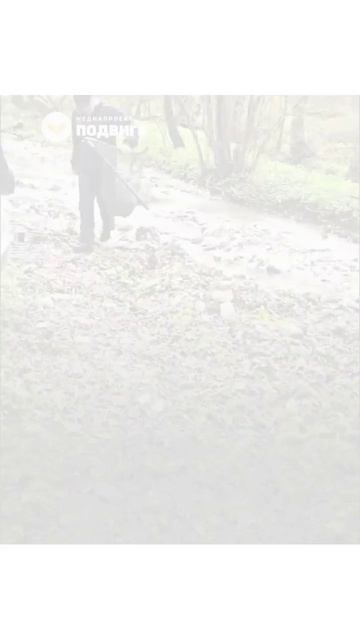 В Северной Осетии волонтёры спасли истощённого медвежонка