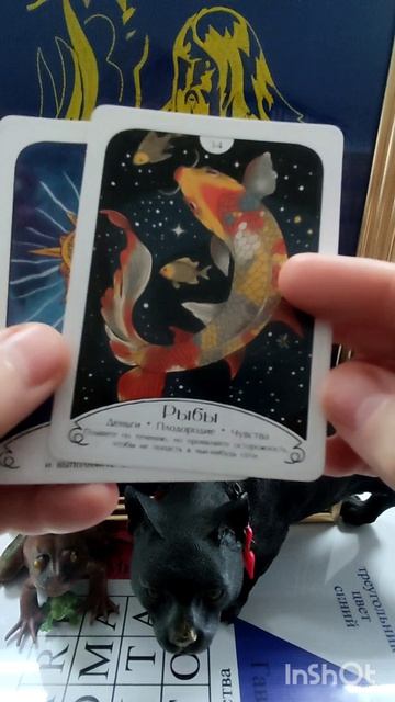 Заключайте Союз☝#маккарты#татьянаясная#психология#эзотерика#новинка#интересное#