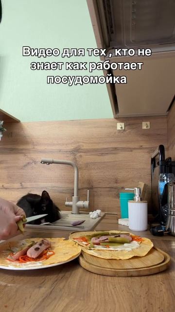 Ну очень милая посудомойка)