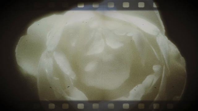 💥26/04 КИНОШНЯ В «РОВЕСНИКЕ»💥18+