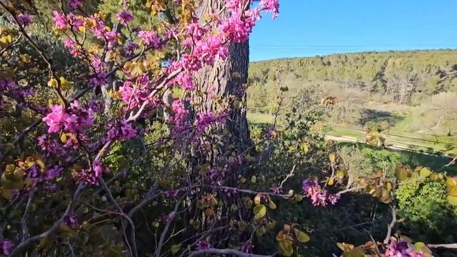 Efa24be38a004ad2de1d58935f1b093c