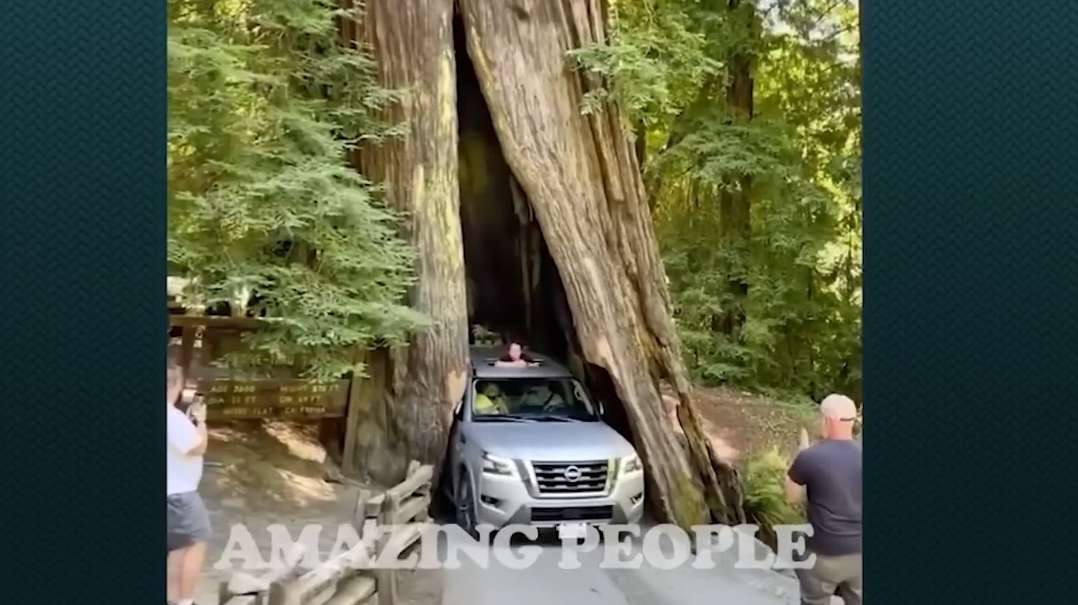 Засмеялся — лайк! №2