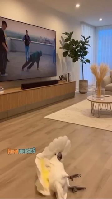 Чудесного настроения!🤣🤣🤣