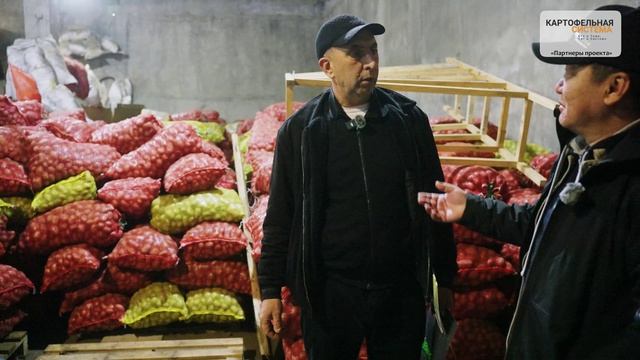 Картофель в Армении: фермер с 20-летним опытом делится секретами урожая и семян