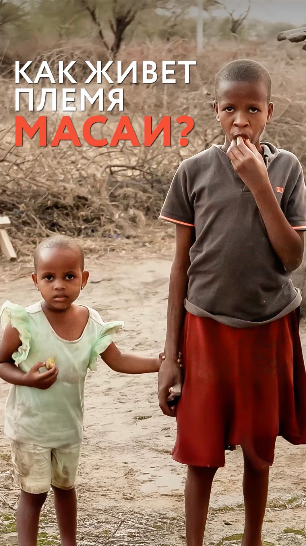 100099174e26020416343097a22f32a6