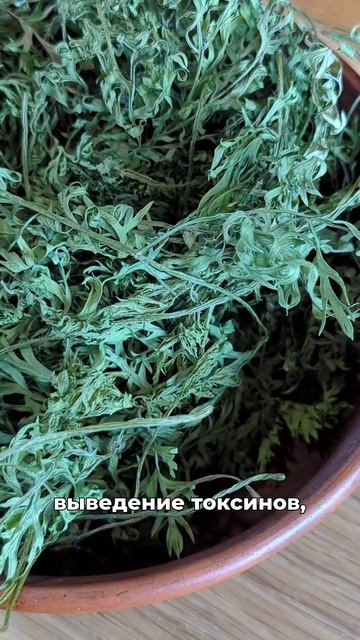 3 травы для новичков