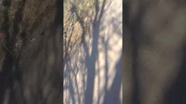 Иду са школы домой