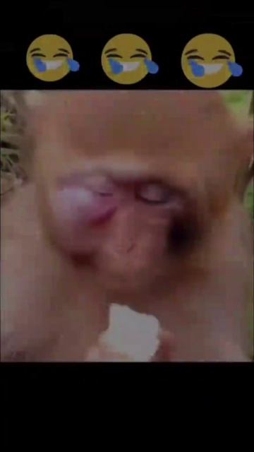 Когда муж захотел посмотреть телефон жены 🤣