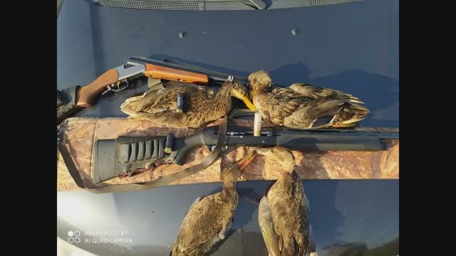 ОХОТА НА УТКУ, НАЧАЛОСЬ