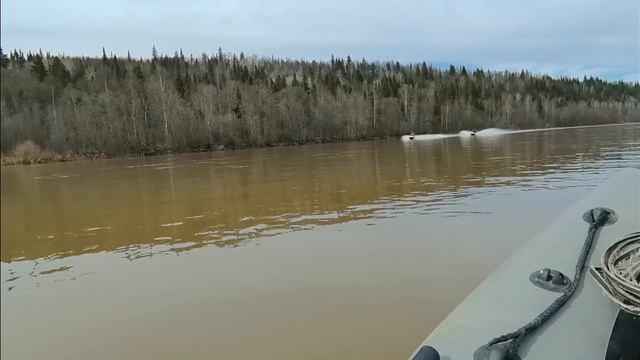 Водные мотоциклы по реке в Уфе.