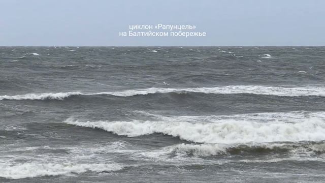 Циклон Рапунцель Калининград